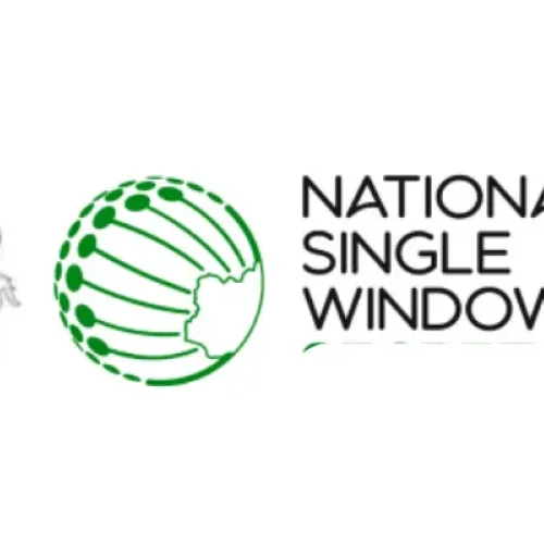 ‘Single window processed N11.27bn payment in five months’