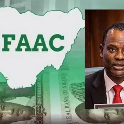 Allocations can’t guarantee prosperity for states —Oyedele