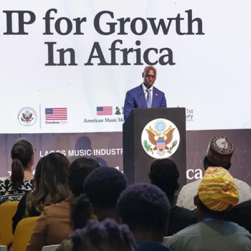 US seeks to expand funding for creatives through intellectual property