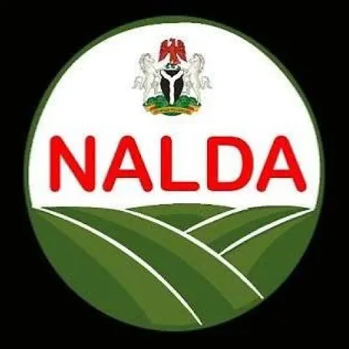 FG launches Kwara agro-forestry campaign for expansion