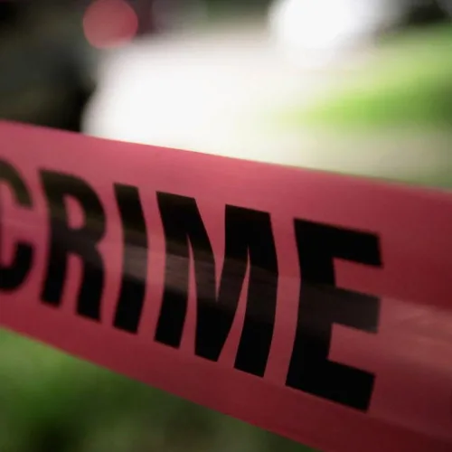 Murder for 2,500 dollars and a twisted, twisted world