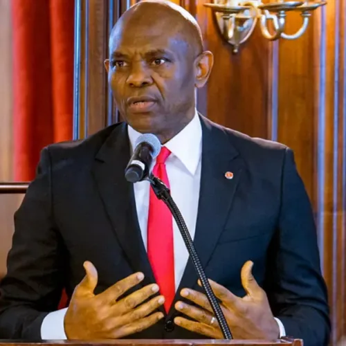 Tony Elumelu’s First-Name Correction Sparks Debate Over Respect, Corporate Culture