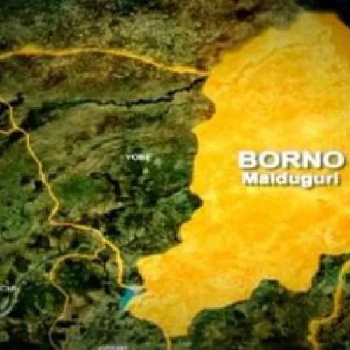 Kidnapping: Police rescue 75 victims in Birnin Gwari