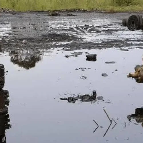 Energy transition: CSOs demand greater role for Niger Delta communities