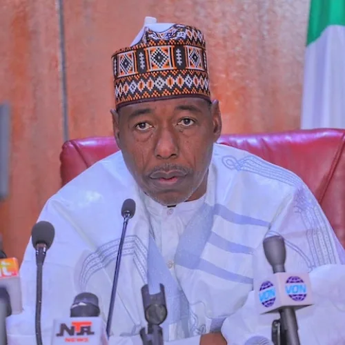 Tinubu committed to rescue of abducted Borno pupils, Zulum assures