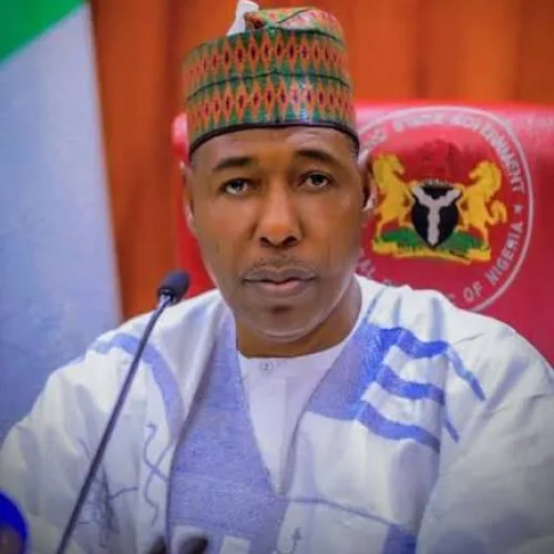 FG, Borno intensify efforts to rescue 44 pupils