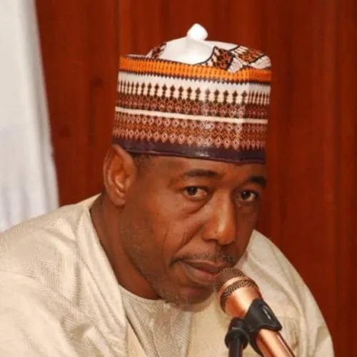 FG, Borno Govt Intensify Efforts to Rescue 44 Abducted Pupils