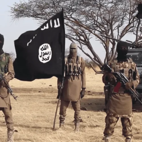 24 ISWAP family members surrender as rival factions clash in Borno