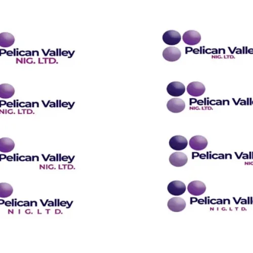 DIASPORA REAL ESTATE BOOM: Pellican-Valley Marks 12th Anniversary With First-Ever 20% Discount Sales In Ogun State