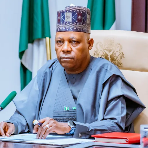 Africa Must Move Beyond Condolences, Camps and Appeals – Shettima