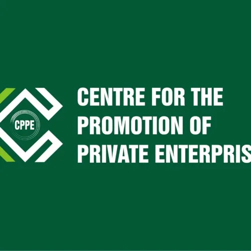 CPPE backs FG reforms, urges shift from economic stability to productivity