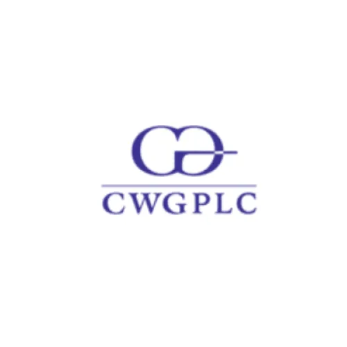 How CWG escaped the hardware squeeze and built a digital infrastructure engine