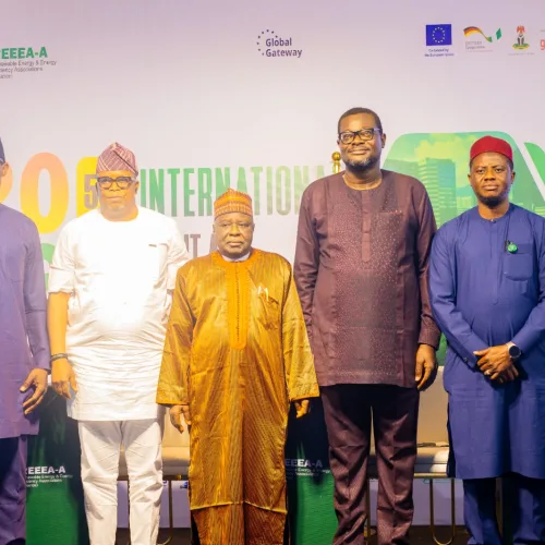 REEEA-Alliance adopts 12-point action plan to boost clean energy investment