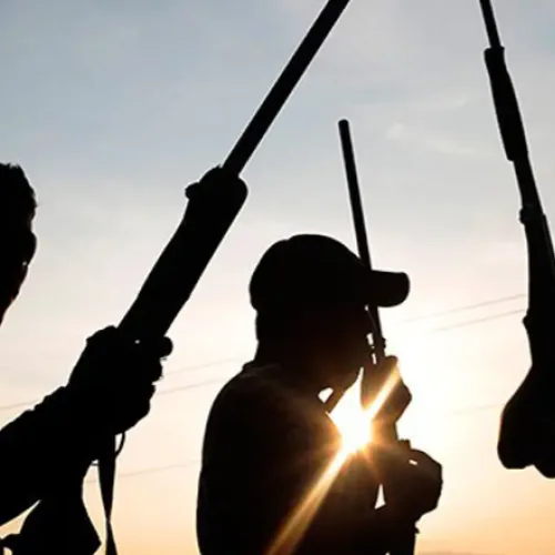 VIDEO: High profile bandit kingpins reportedly found in Nigerian senator’s house