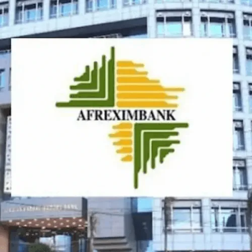 Afreximbank profit jumps 30% in H1 on higher lending