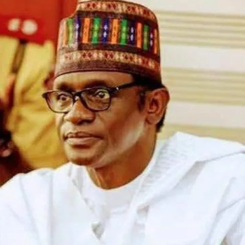 APC Campaign Council: Meet 14 governors tasked with delivering Tinubu in 2027