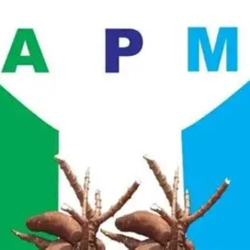 2027: Makinde best man to defeat Tinubu — APM
