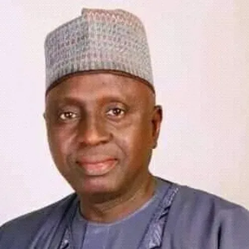 Ex-govs use Senate as retirement, protection from probe – Ex-Kwara lawmaker