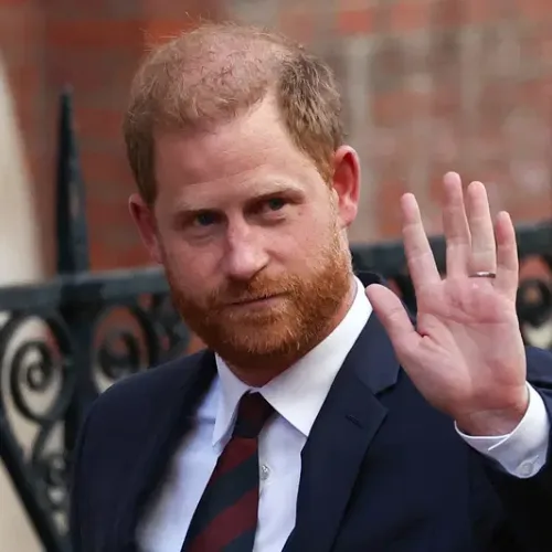 Prince Harry steps down from African conservation charity board
