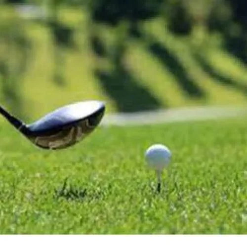 Golf: Rising star Yamashita ties LPGA scoring record