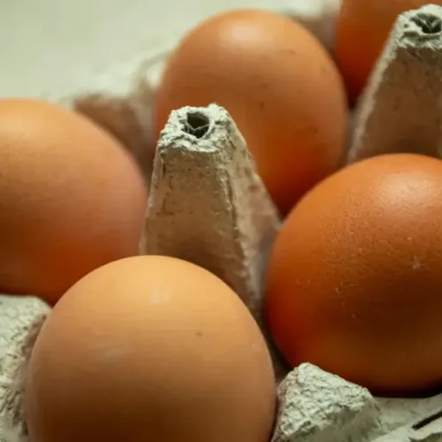 Antibiotics usage in poultry production major threat to egg powder market —PAN