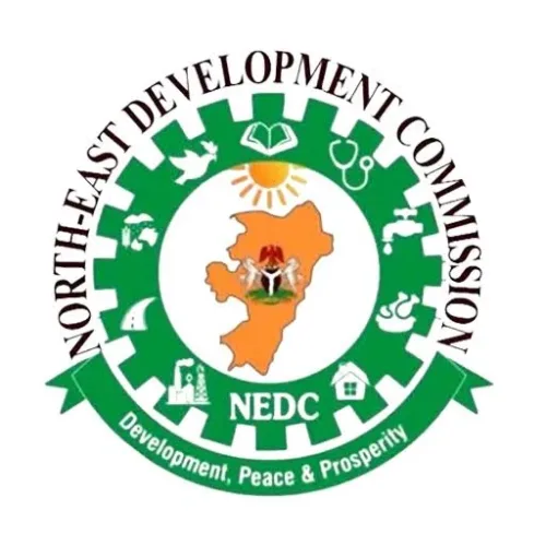 NEDC installs solar power systems in Adamawa LGs