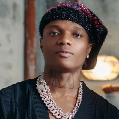 Wizkid sparks excitement after teasing upcoming album project