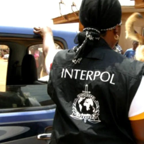 Black Axe dragnet nets 58 as Interpol uncovers €143m scam, sextortion of minors