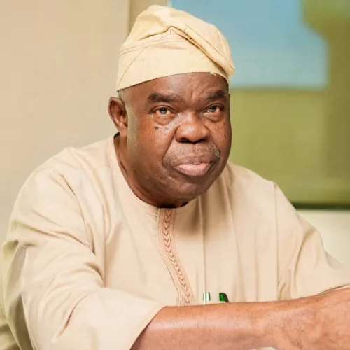 FG appoints OAU don to advise on federal, state police structure
