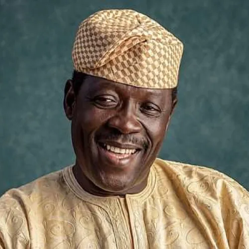 Gani Adams Pays Tribute To ‘Ogogo’, Calls Him Cultural Ambassador