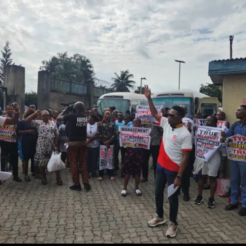 End dictatorship or risk fresh strike, NASU-WAEC warns