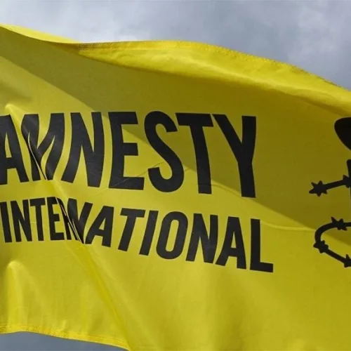 Amnesty Int'l Condemns Kuje Chairman Over Threats to Non-APC Voters