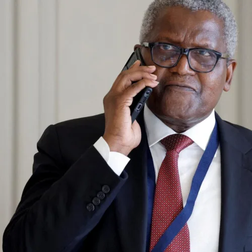 Dangote plans ship acquisitions to beat Nigeria’s export vessel shortage