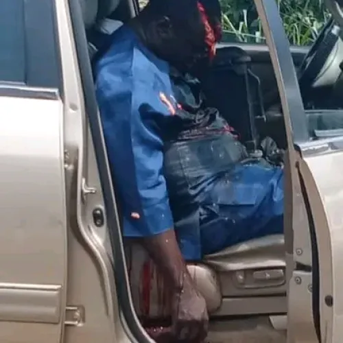 Park crisis: Osun police go after suspected political thugs over killings 