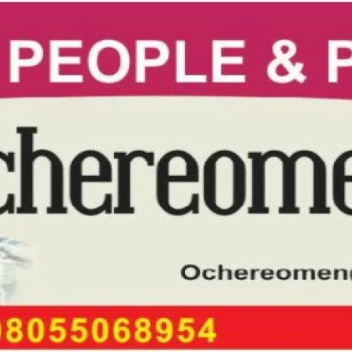 “Anambra House” and other bigotries, by Ochereome Nnanna