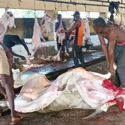 Expert raises alarm over health risks from abattoir waste