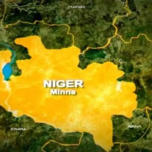 Police arrest eight suspects, recover dangerous weapons in Niger