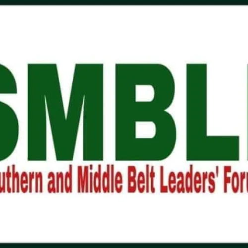 Yoruba, Igbo, S’South, Middle Belt Leaders Reject FG Planned Livestock Pilot Scheme