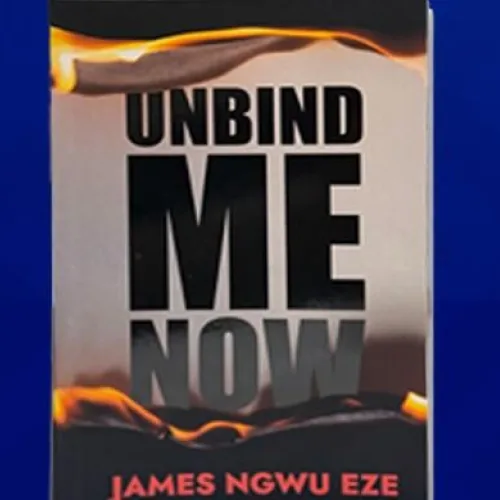 Eze, Ifowodo, Oburumu in race for Nigeria Prize for Literature $100,000