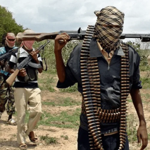 Bandits kill brother of Nigeria agriculture minister in Niger