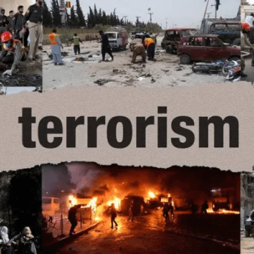 How Borgu forest belt, emerging terrorism epicentre, threatens Nigeria’s physical, food security
