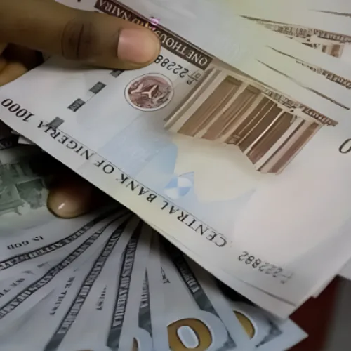 N600bn disbursed to 10m households under cash transfer scheme — FG