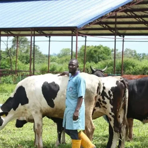 Farmers-herders crisis: Southern, M’Belt leaders reject FG ranching plan
