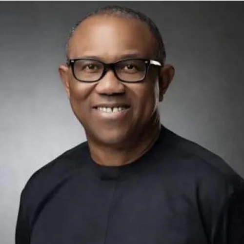 Obidient Connect Texas inaugurates leadership structure, mobilises diaspora for 2027 vote protection