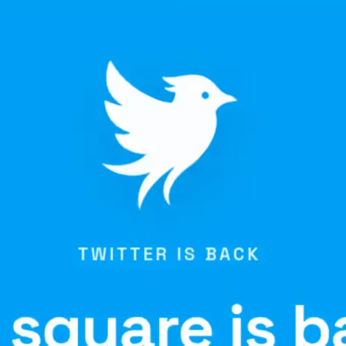 Startup launches ‘Twitter.now’ despite legal battle with Musk’s X