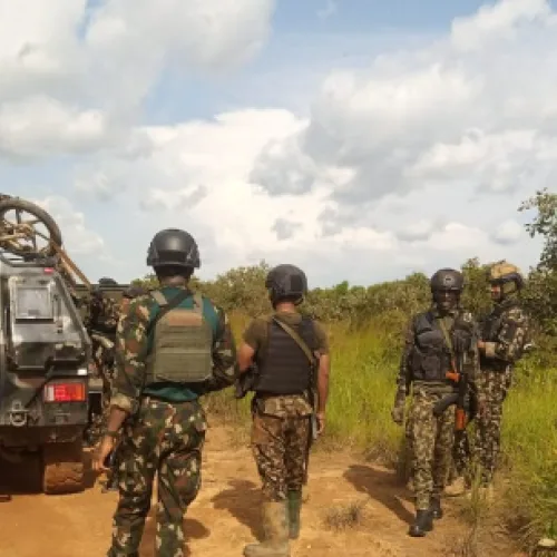 Troops rescue two kidnapped victims, recover 94 livestock in Kaduna, Kano