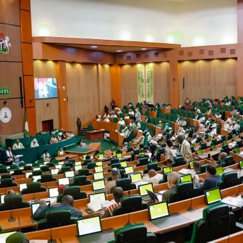 Terrorism: End Killings Now, Reps Minority To Tinubu
