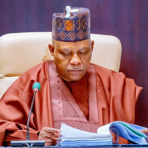 Nigeria’s economy stable, NEC says, urges no policy reversals ahead of 2027