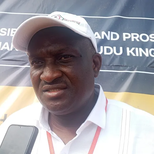 Anambra PDP chairperson resigns