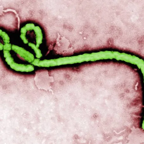 Ebola crisis deepens in DRC as death toll hits 2,700